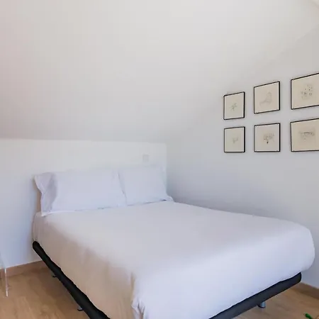 Spacious Estrela With Terrace 公寓 Lisboa
